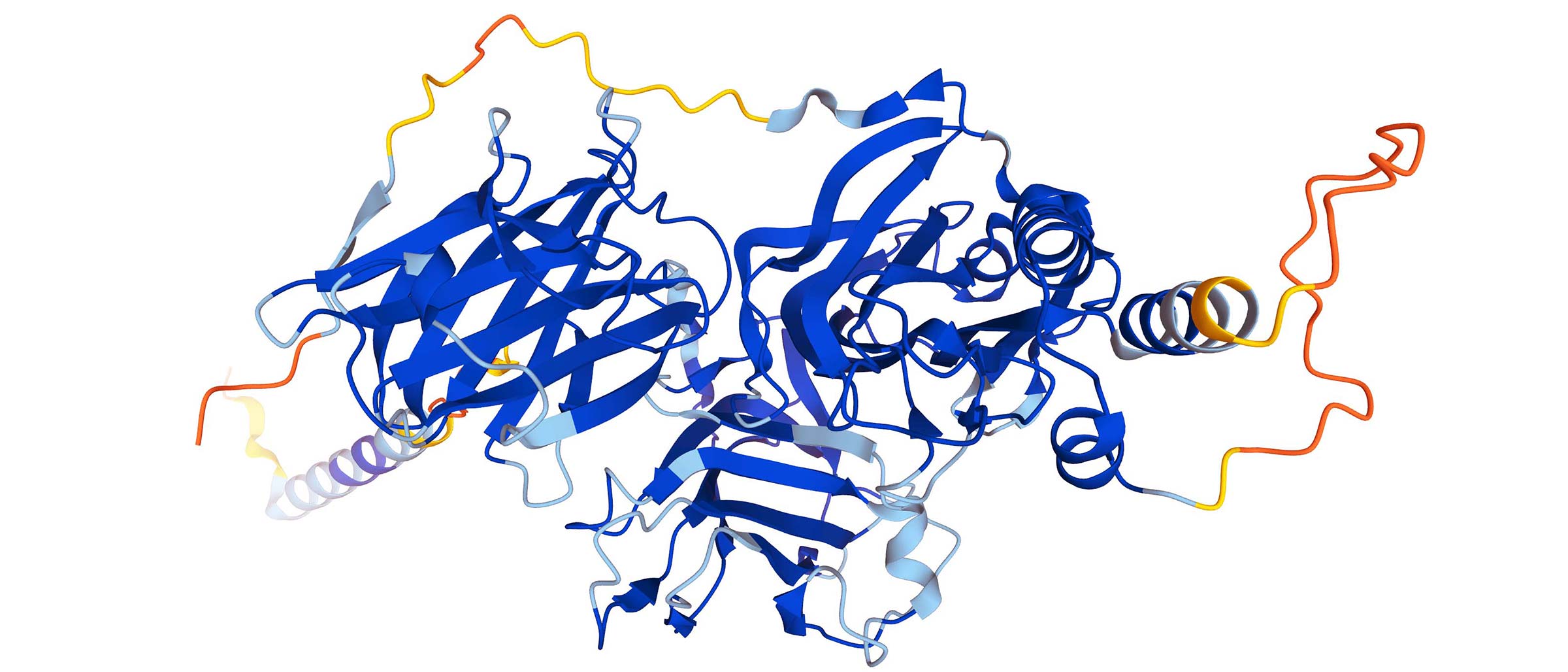 Dopamin-Beta-Hydroxylase Zeichnung bunt